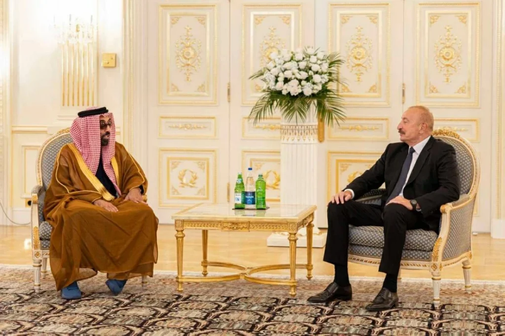 طحنون بن زايد والرئيس الأذربيجاني يبحثان الشراكة الاستراتيجية