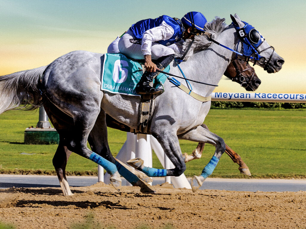 ” الإمارات لسباق الخيل” تعلن تفاصيل السباق “التجريبي الأول” في الموسم الجديد